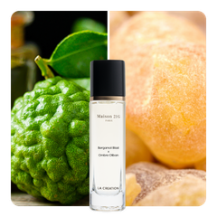 Nước hoa Bergamot Blast x Ombre Oliban