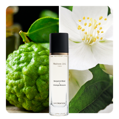 Nước hoa Bergamot Blast x Orange Blossom