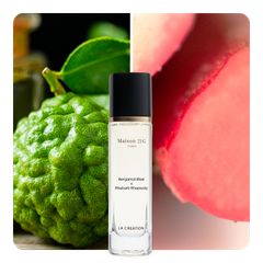 Nước hoa Bergamot Blast x Rhubarb Rhapsody