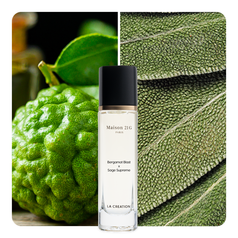 Nước hoa Bergamot Blast x Sage Supreme