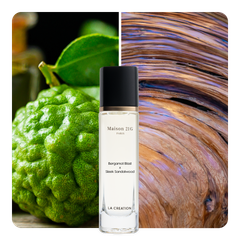 Nước hoa Bergamot Blast x Sleek Sandalwood
