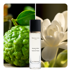 Nước hoa Bergamot Blast x Tuberose Tribute