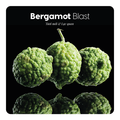 Nước hoa Bergamot Blast