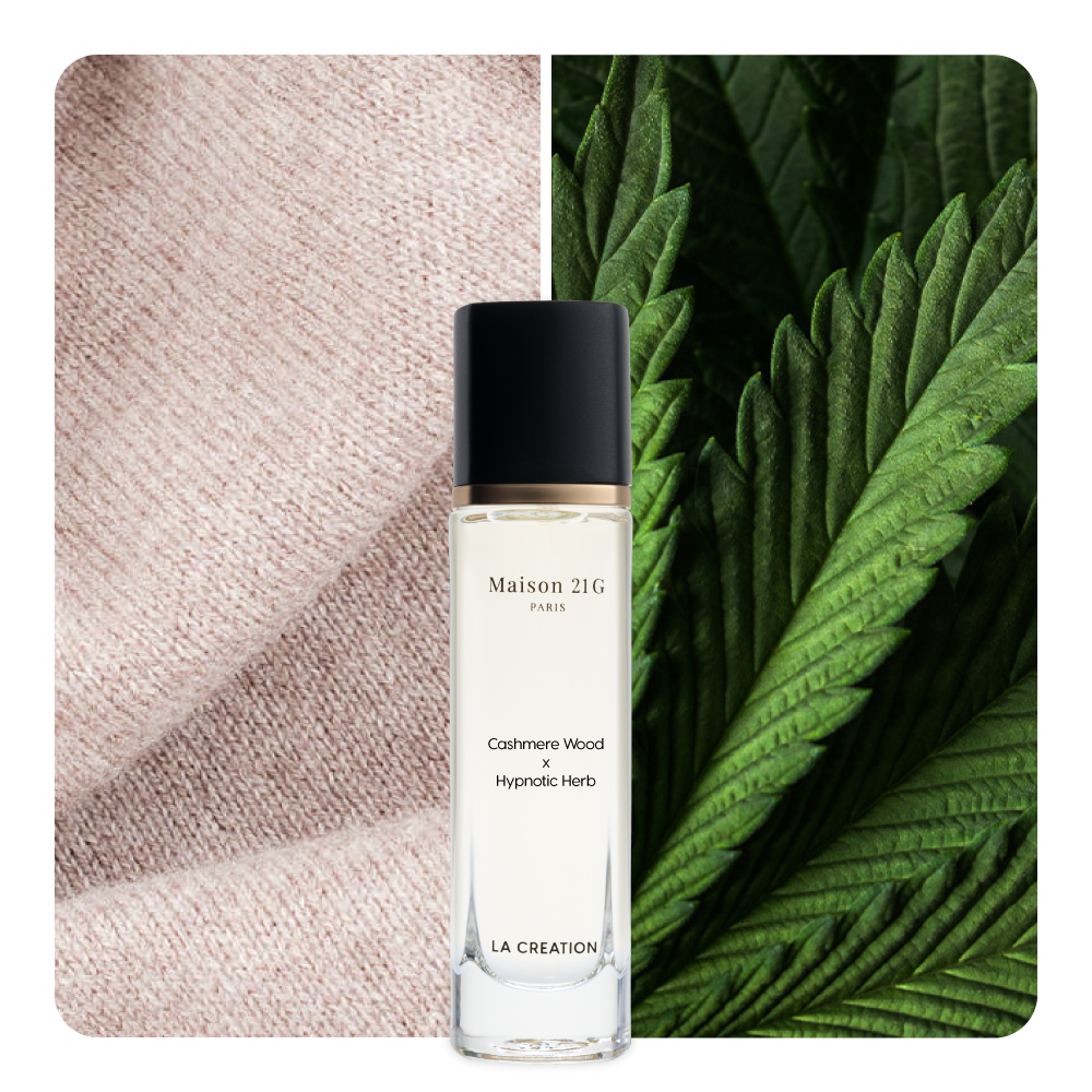 Nước hoa Cashmere Wood x Hypnotic Herb