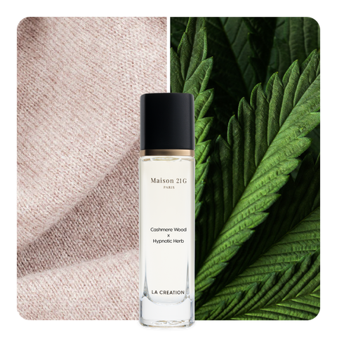 Nước hoa Cashmere Wood x Hypnotic Herb