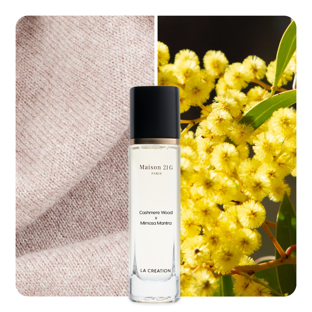 Nước hoa Cashmere Wood x Mimosa Mantra
