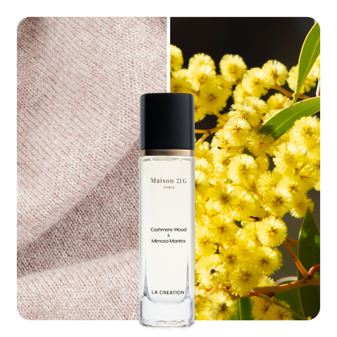 Nước hoa Cashmere Wood x Mimosa Mantra
