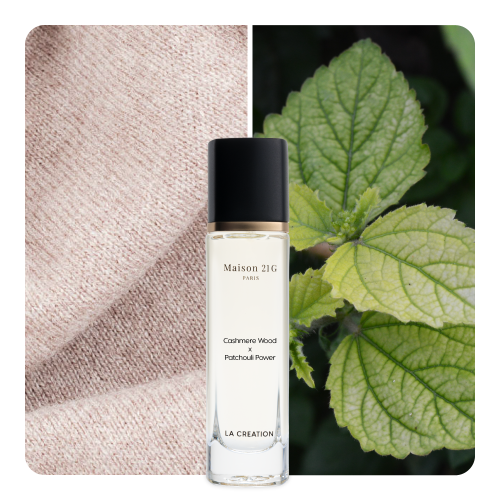 Nước hoa Cashmere Wood x Patchouli Power