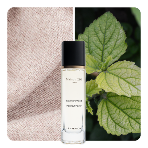 Nước hoa Cashmere Wood x Patchouli Power