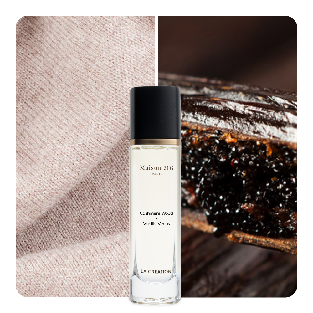 Nước hoa Cashmere Wood x Vanilla Venus