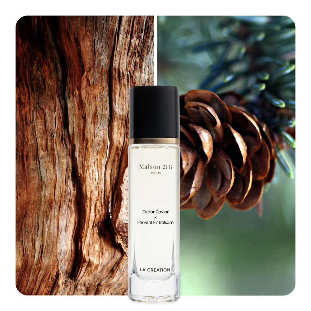 Nước hoa Cedar Caviar x Fervent Fir Balsam