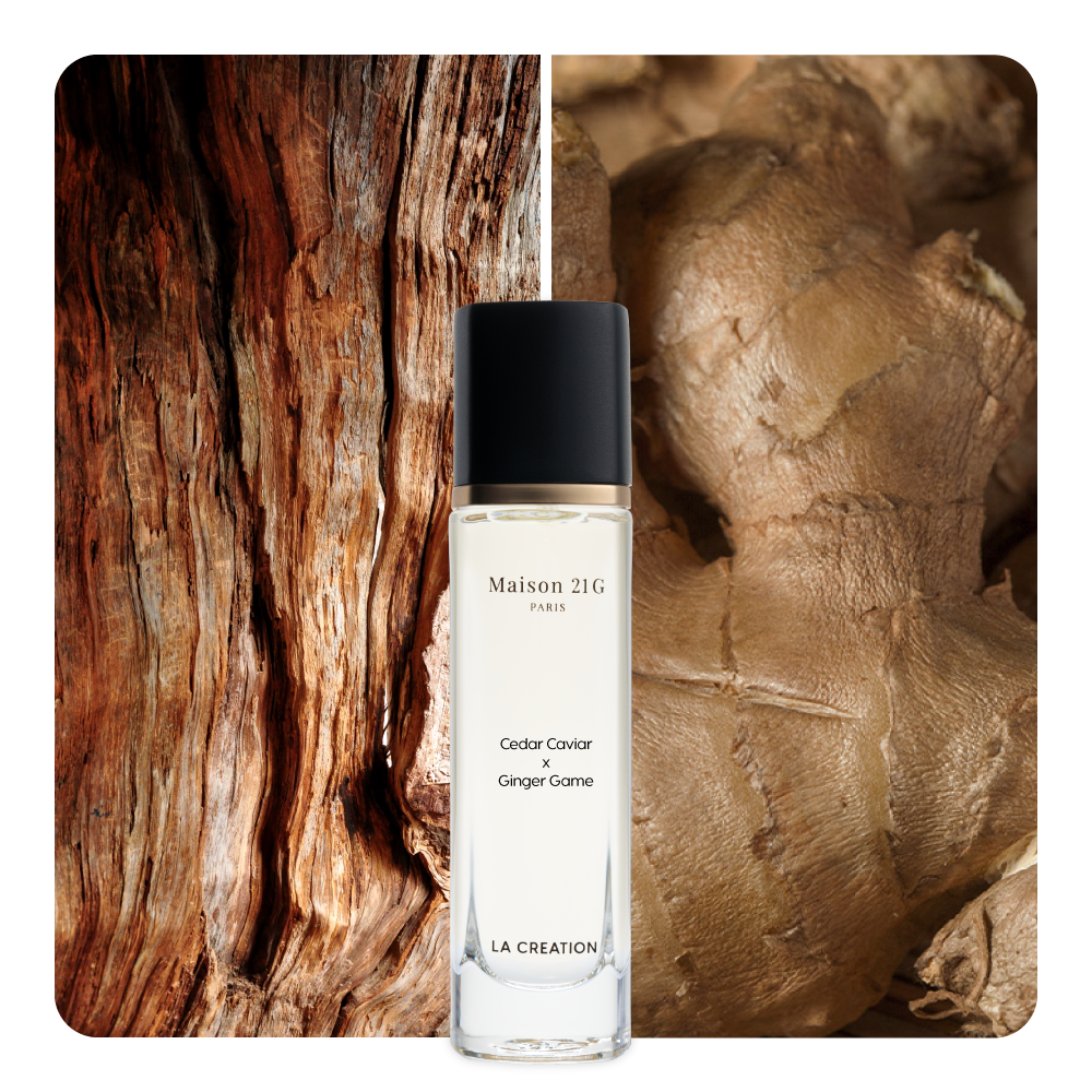 Nước hoa Cedar Caviar x Ginger Game