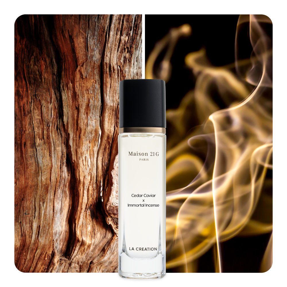 Nước hoa Cedar Caviar x Immortal Incense