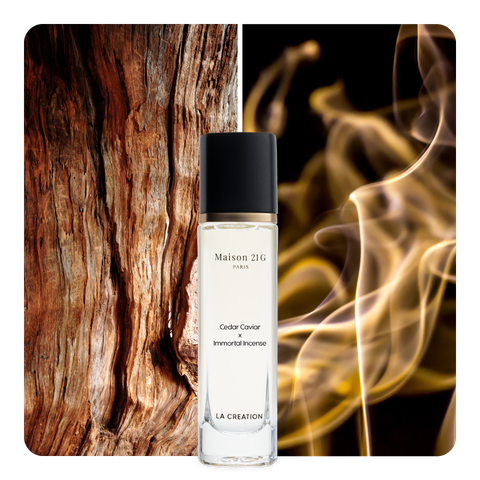 Nước hoa Cedar Caviar x Immortal Incense