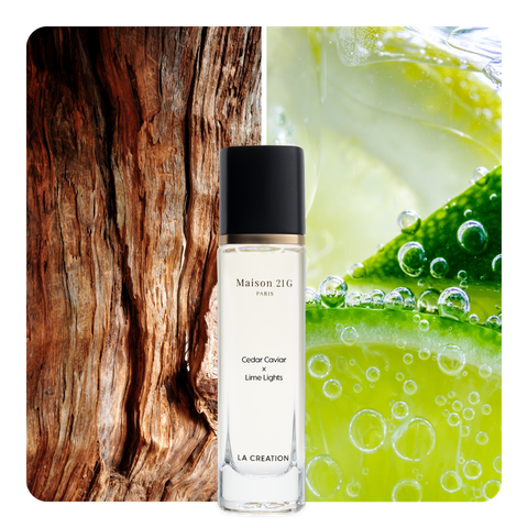 Nước hoa Cedar Caviar x Lime Lights