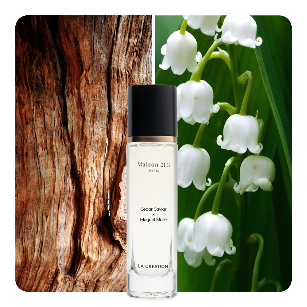 Nước hoa Cedar Caviar x Muguet Muse