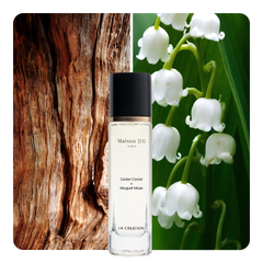 Nước hoa Cedar Caviar x Muguet Muse