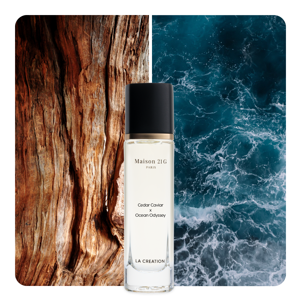 Nước hoa Cedar Caviar x Ocean Odyssey