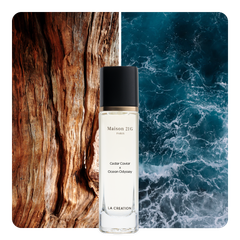 Nước hoa Cedar Caviar x Ocean Odyssey