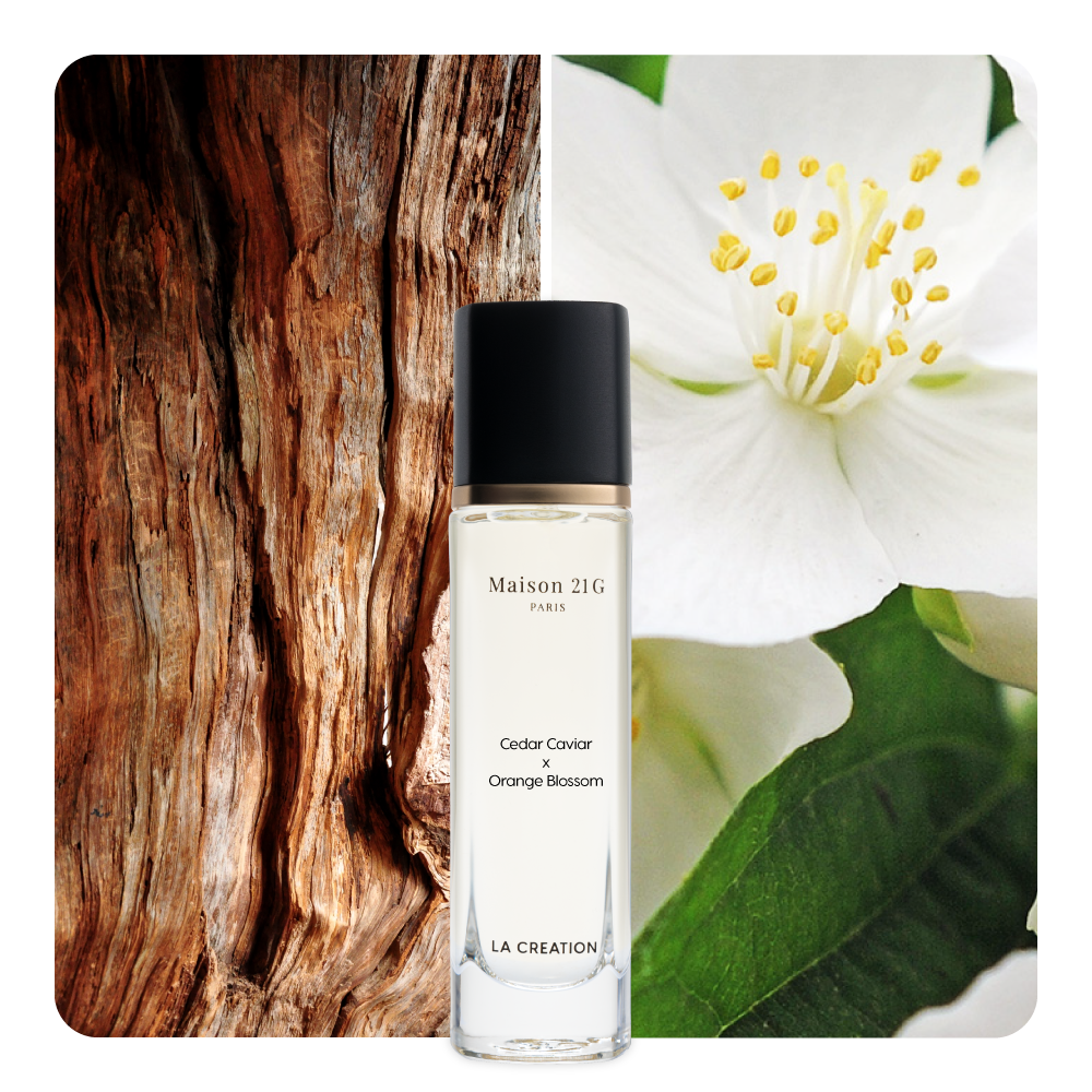 Nước hoa Cedar Caviar x Orange Blossom