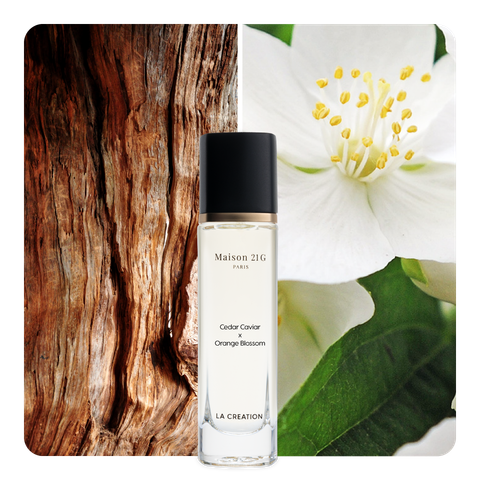 Nước hoa Cedar Caviar x Orange Blossom
