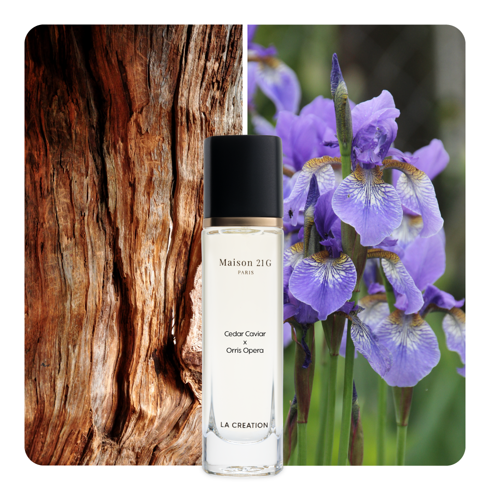 Nước hoa Cedar Caviar x Orris Opera