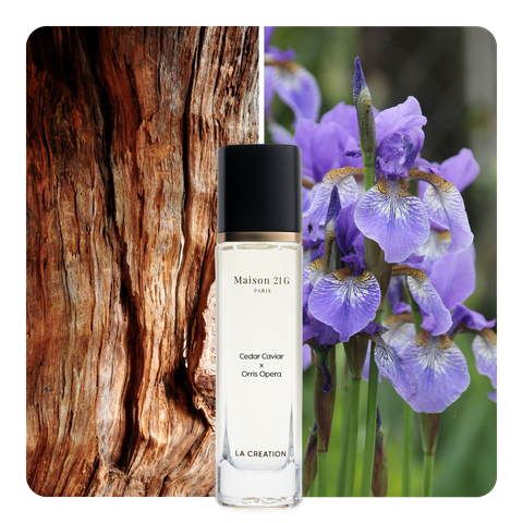 Nước hoa Cedar Caviar x Orris Opera