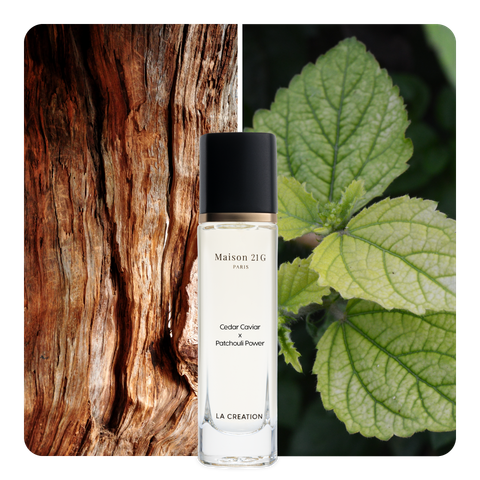Nước hoa Cedar Caviar x Patchouli Power