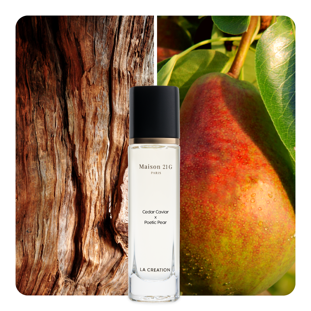 Nước hoa Cedar Caviar x Poetic Pear