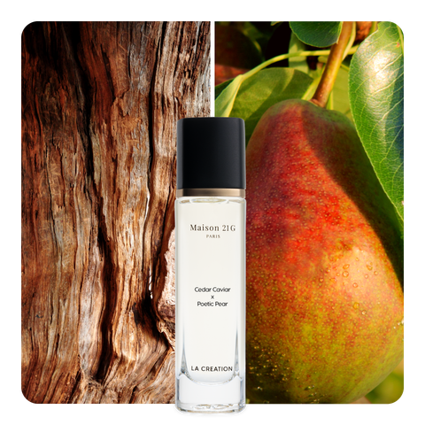 Nước hoa Cedar Caviar x Poetic Pear