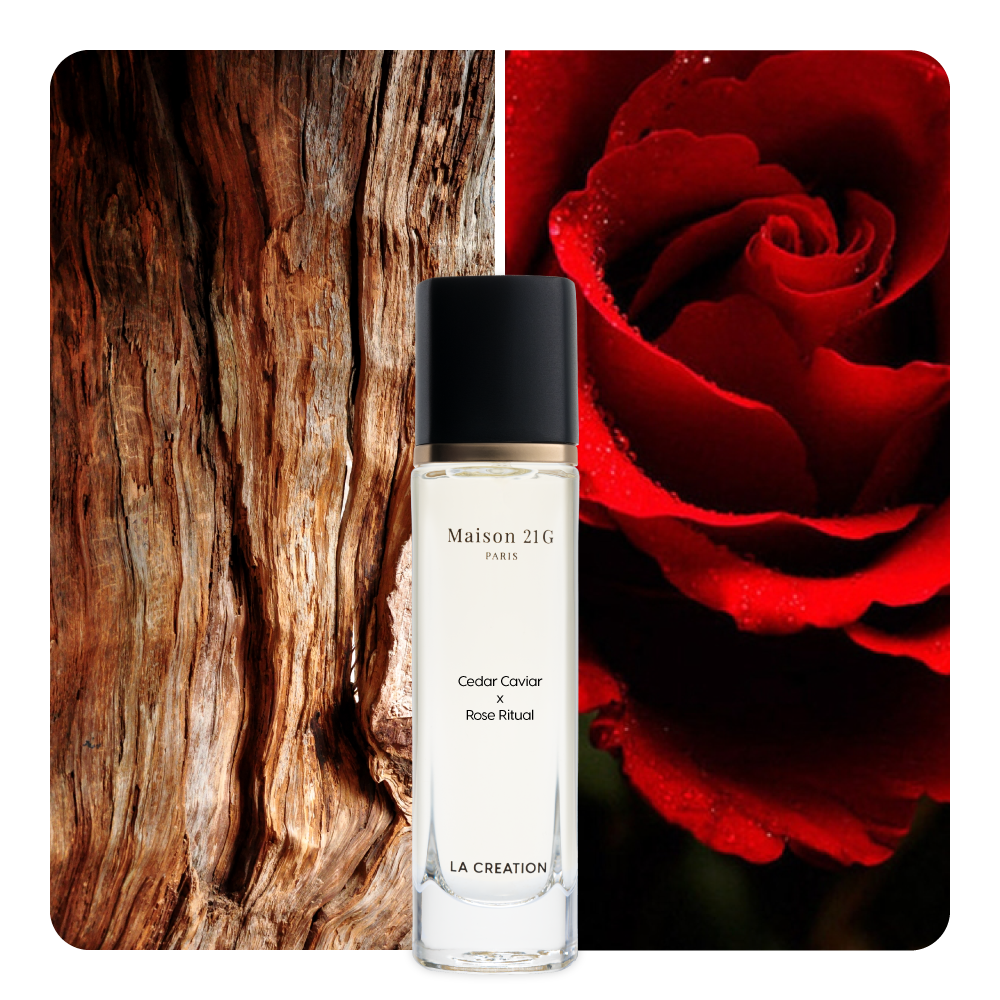 Nước hoa Cedar Caviar x Rose Ritual