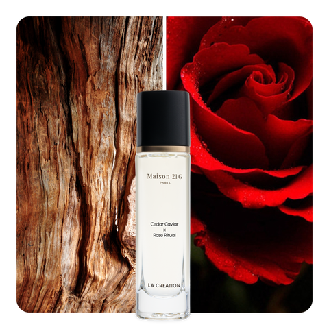Nước hoa Cedar Caviar x Rose Ritual