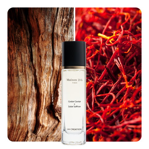 Nước hoa Cedar Caviar x Solar Saffron