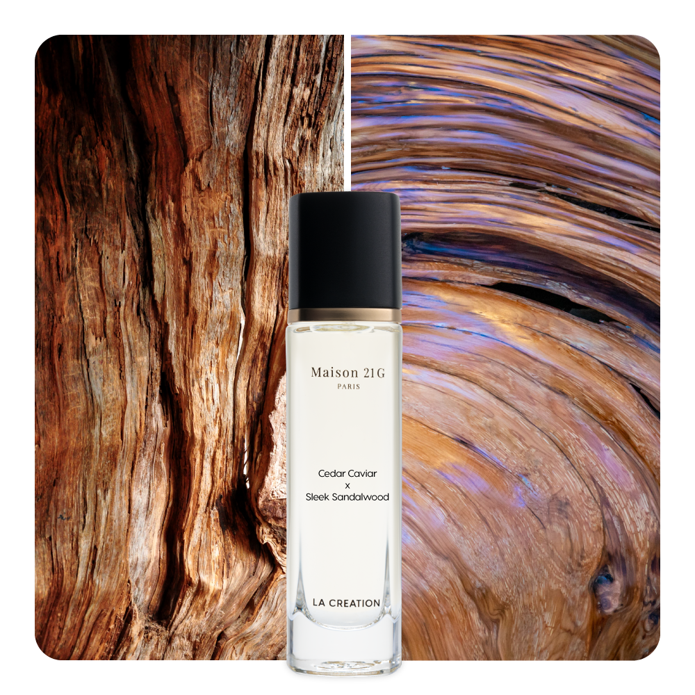 Nước hoa Cedar Caviar x Sleek Sandalwood