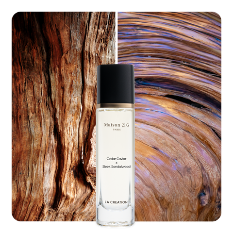 Nước hoa Cedar Caviar x Sleek Sandalwood