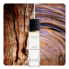 Nước hoa Cedar Caviar x Sleek Sandalwood