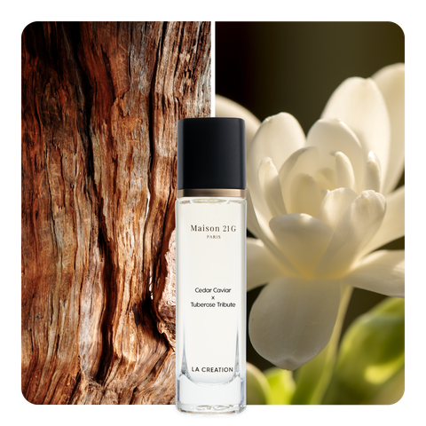 Nước hoa Cedar Caviar x Tuberose Tribute