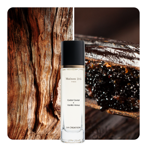 Nước hoa Cedar Caviar x Vanilla Venus