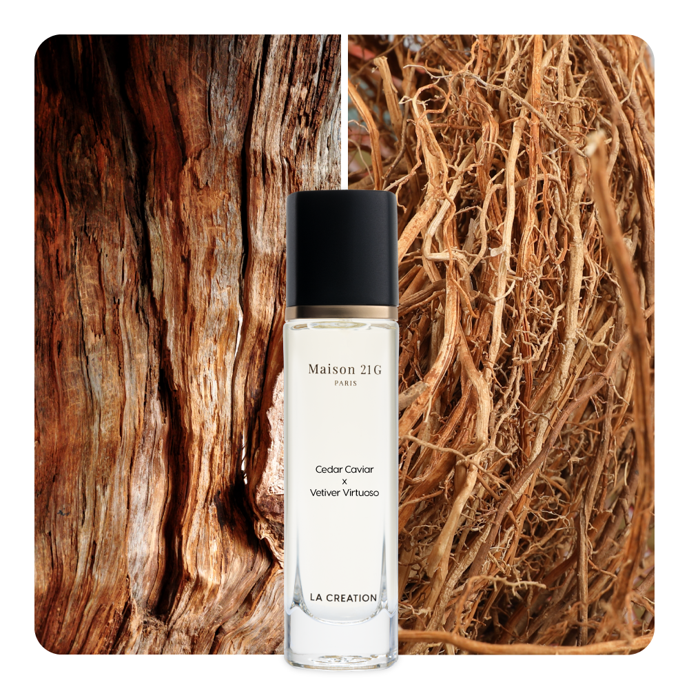 Nước hoa Cedar Caviar x Vetiver Virtuoso