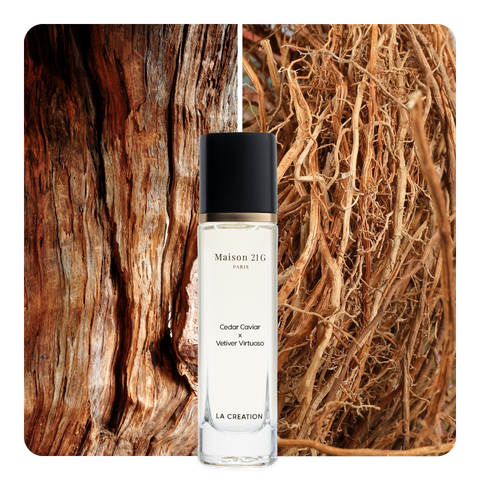 Nước hoa Cedar Caviar x Vetiver Virtuoso