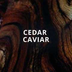 Nước hoa Almond Absolute x Cedar Caviar
