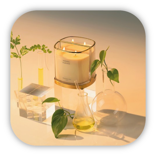 Nến thơm đôi Maison 21G Duo Candle Trong suốt