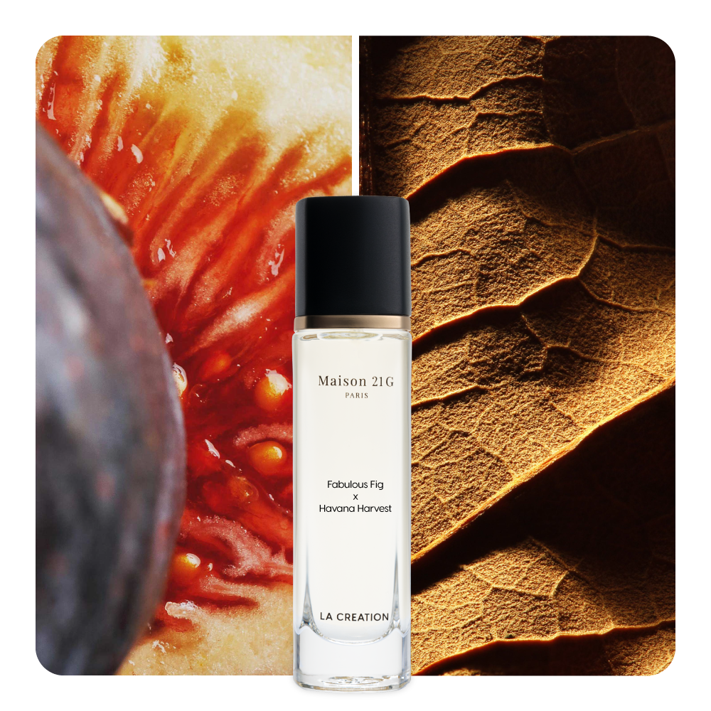 Nước hoa Fabulous Fig x Havana Harvest