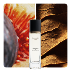 Nước hoa Fabulous Fig x Havana Harvest