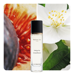 Nước hoa Fabulous Fig x Orange Blossom