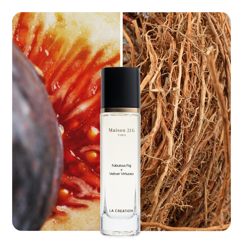 Nước hoa Fabulous Fig x Vetiver Virtuoso