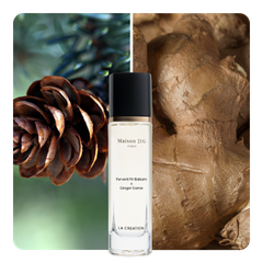 Nước hoa Fervent Fir Balsam x Ginger Game