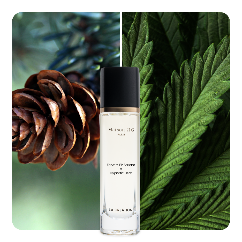 Nước hoa Fervent Fir Balsam x Hypnotic Herb