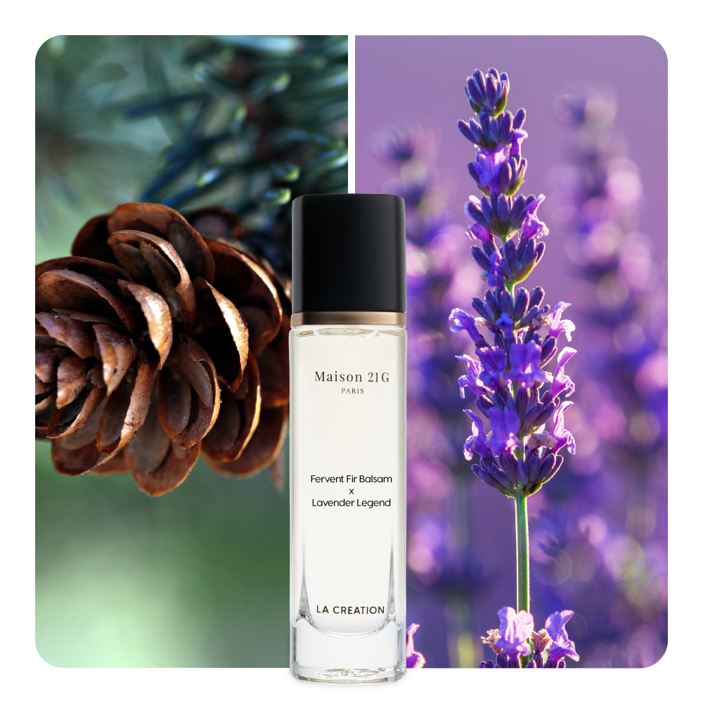 Nước hoa Fervent Fir Balsam x Lavender Legend