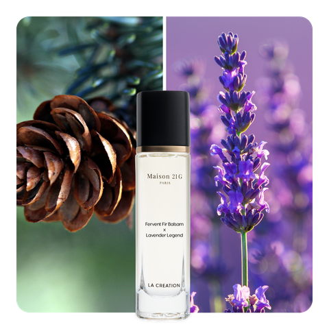 Nước hoa Fervent Fir Balsam x Lavender Legend